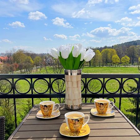 Apartament Daisy Szczawno-Zdroj Dış mekan fotoğraf